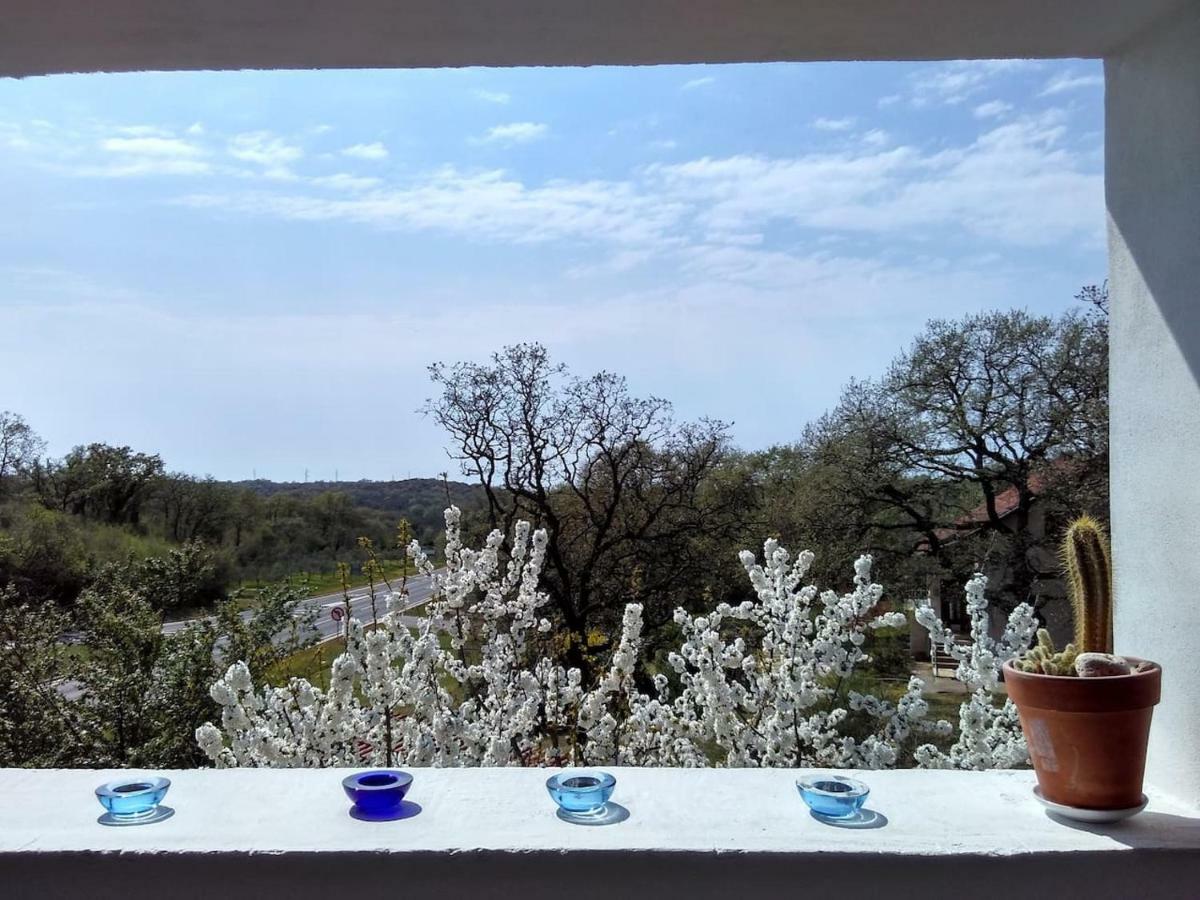Apartman Garma Ровинь Экстерьер фото